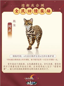圣火富贵天龙八部私服